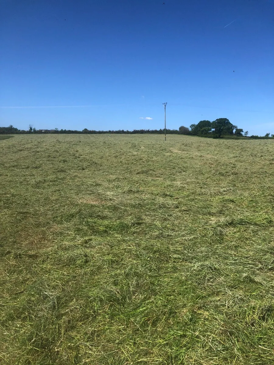 Hay for sale - Image 1