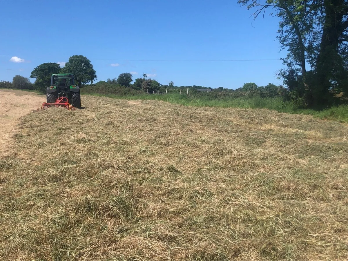 Hay for sale - Image 2