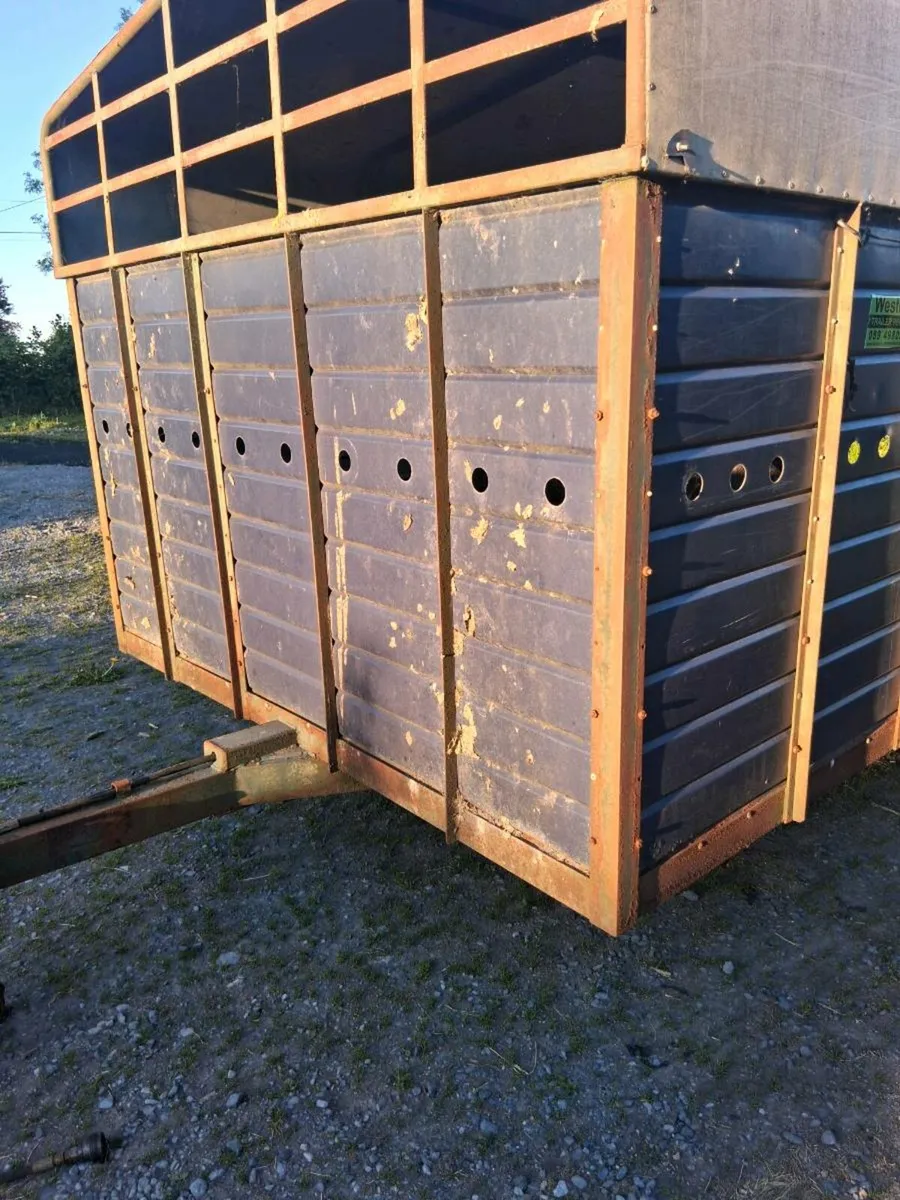 Cattle trailer - Image 2