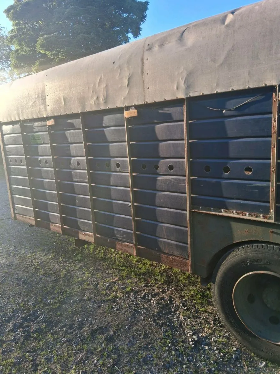 Cattle trailer - Image 3