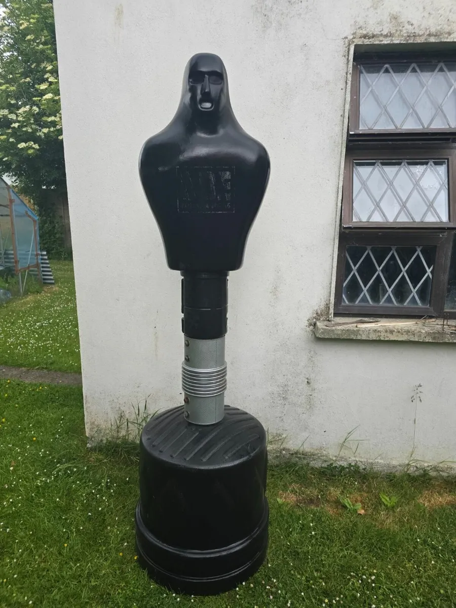 Boxing bag - Image 2