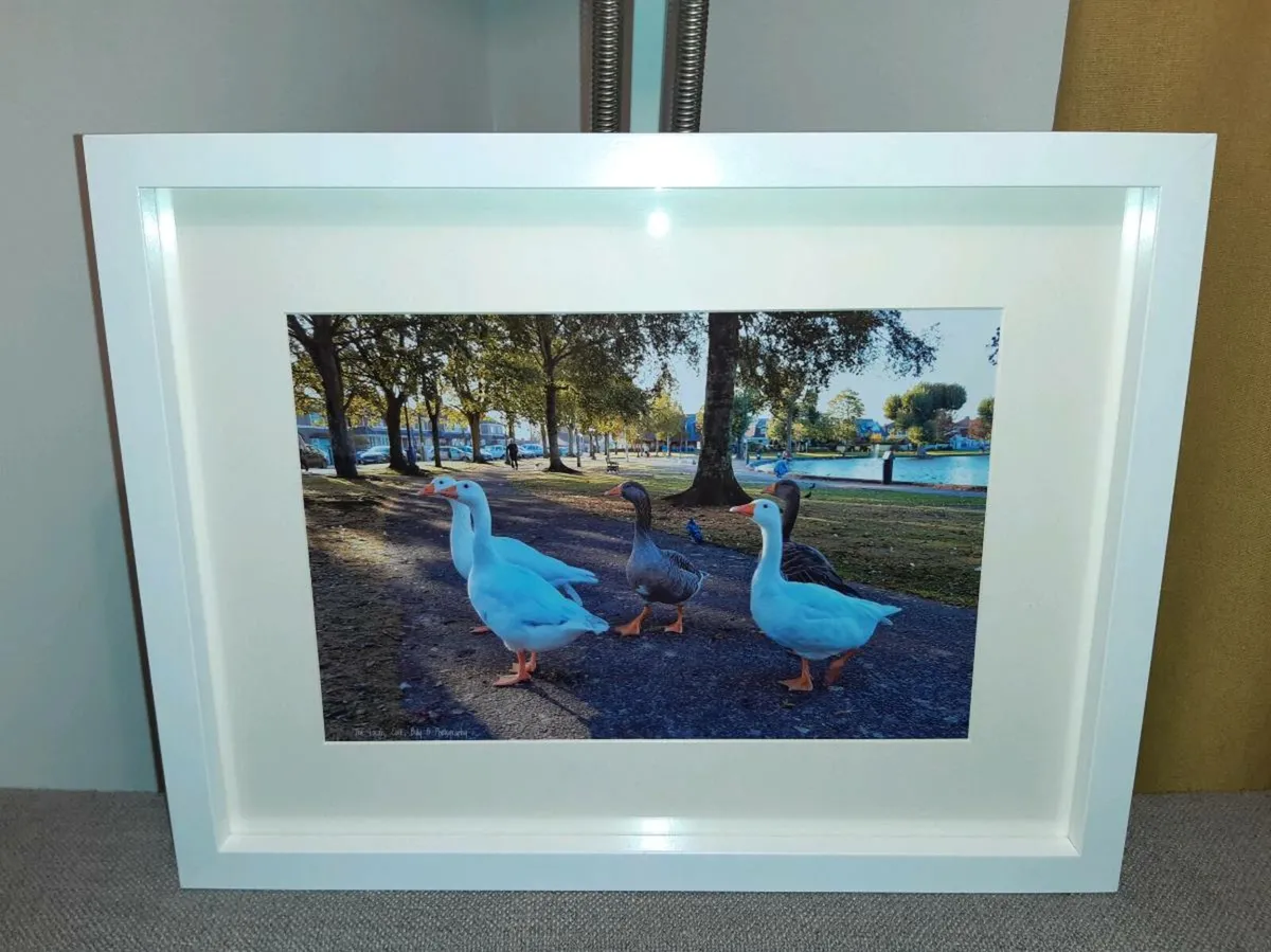 The Lough, Cork - Image 1