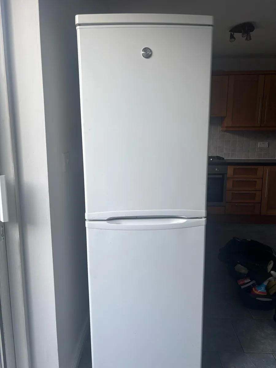 Fridge freezer - Image 1