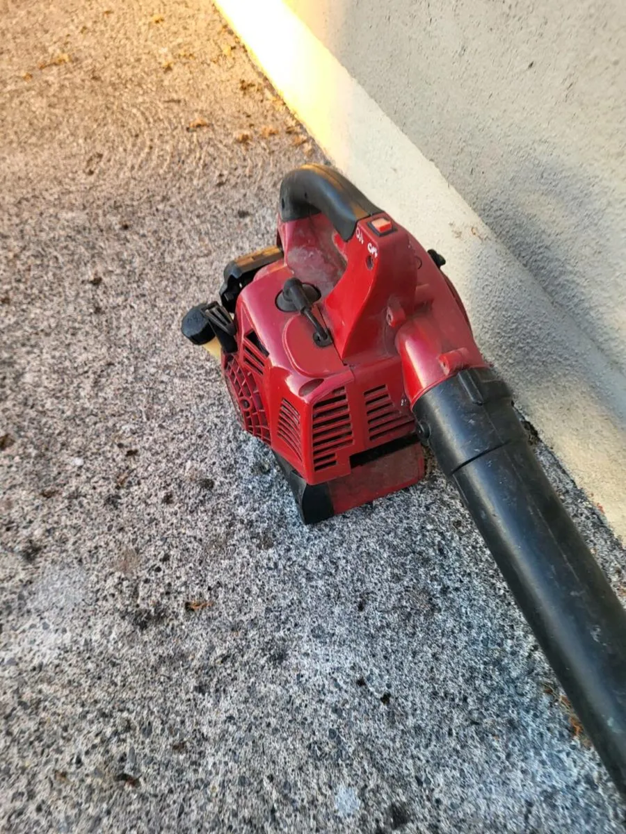 Leaf blower - Image 1