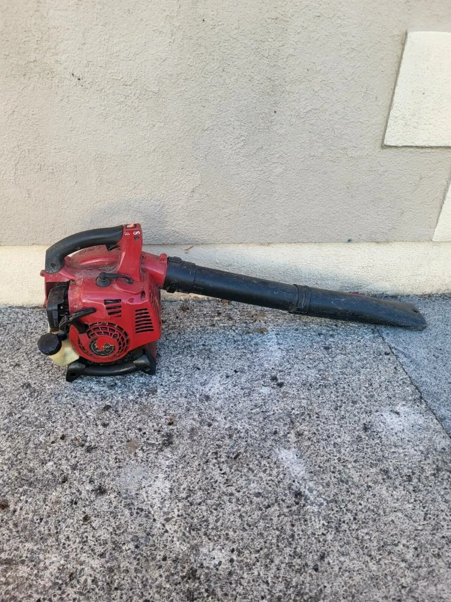 Leaf blower - Image 2