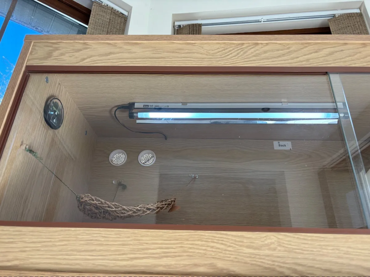 Reptile Vivarium - Image 2