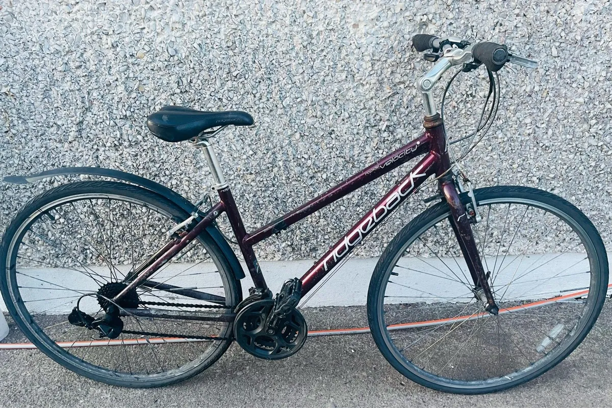 Ridgeback for sale
