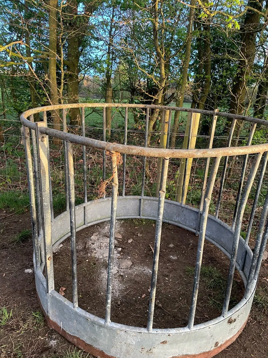 Sturdy lamb creep feeders - Image 2