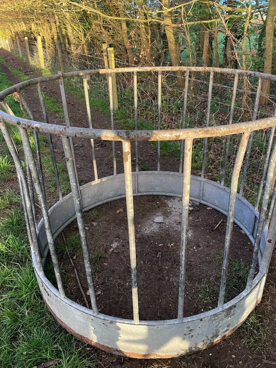 Sturdy lamb creep feeders - Image 4