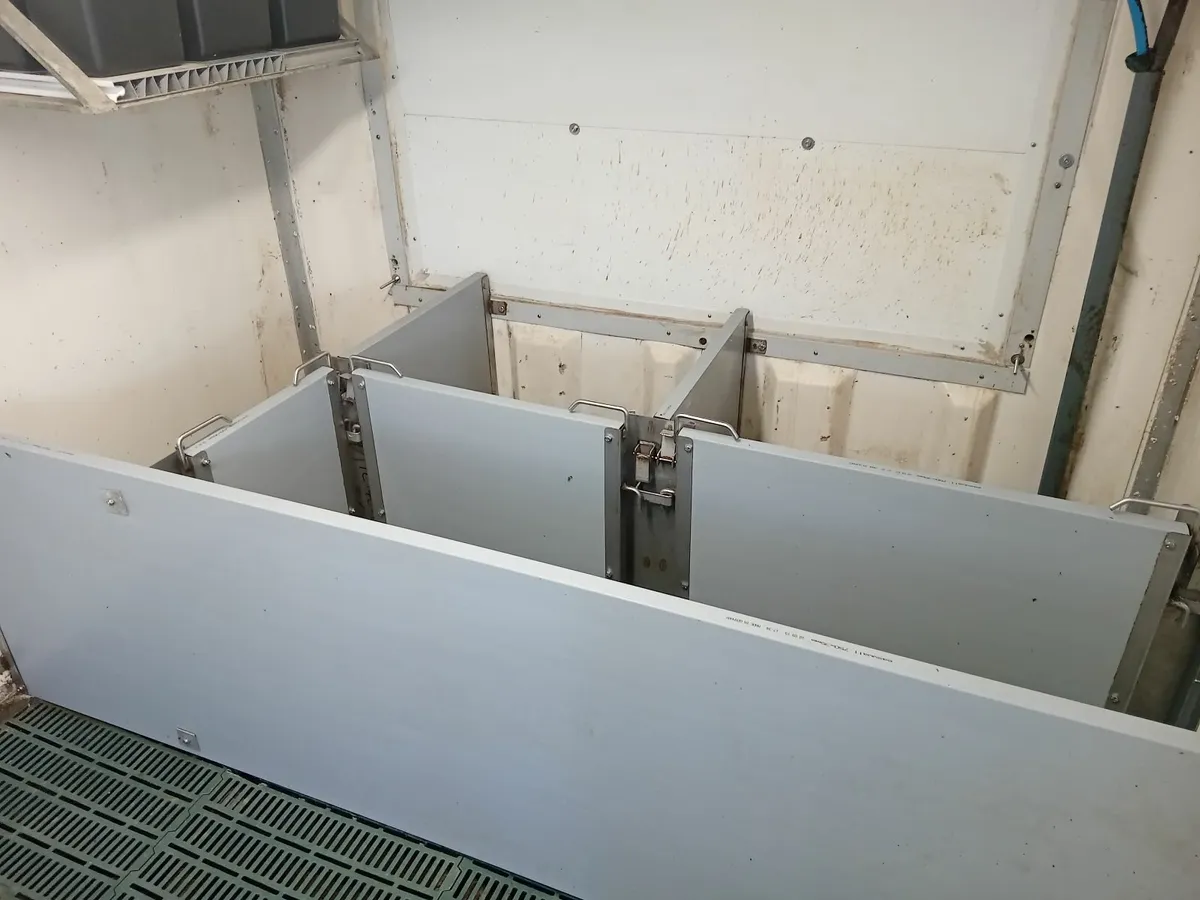 first stage room for pigs, converted fridge - Image 2