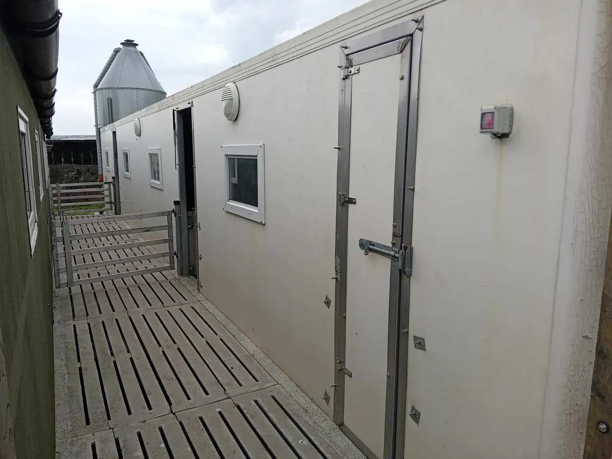 first stage room for pigs, converted fridge - Image 1