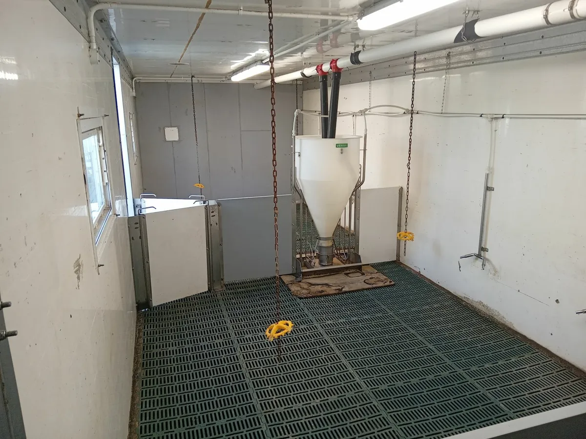 first stage room for pigs, converted fridge - Image 3