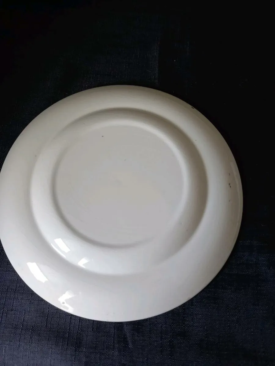 Turquoise Colour Quail plate - Image 2