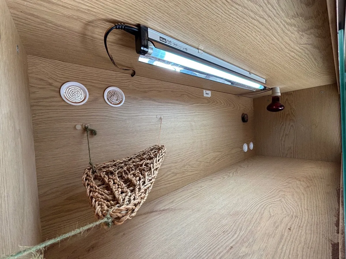 Reptile Vivarium - Image 4