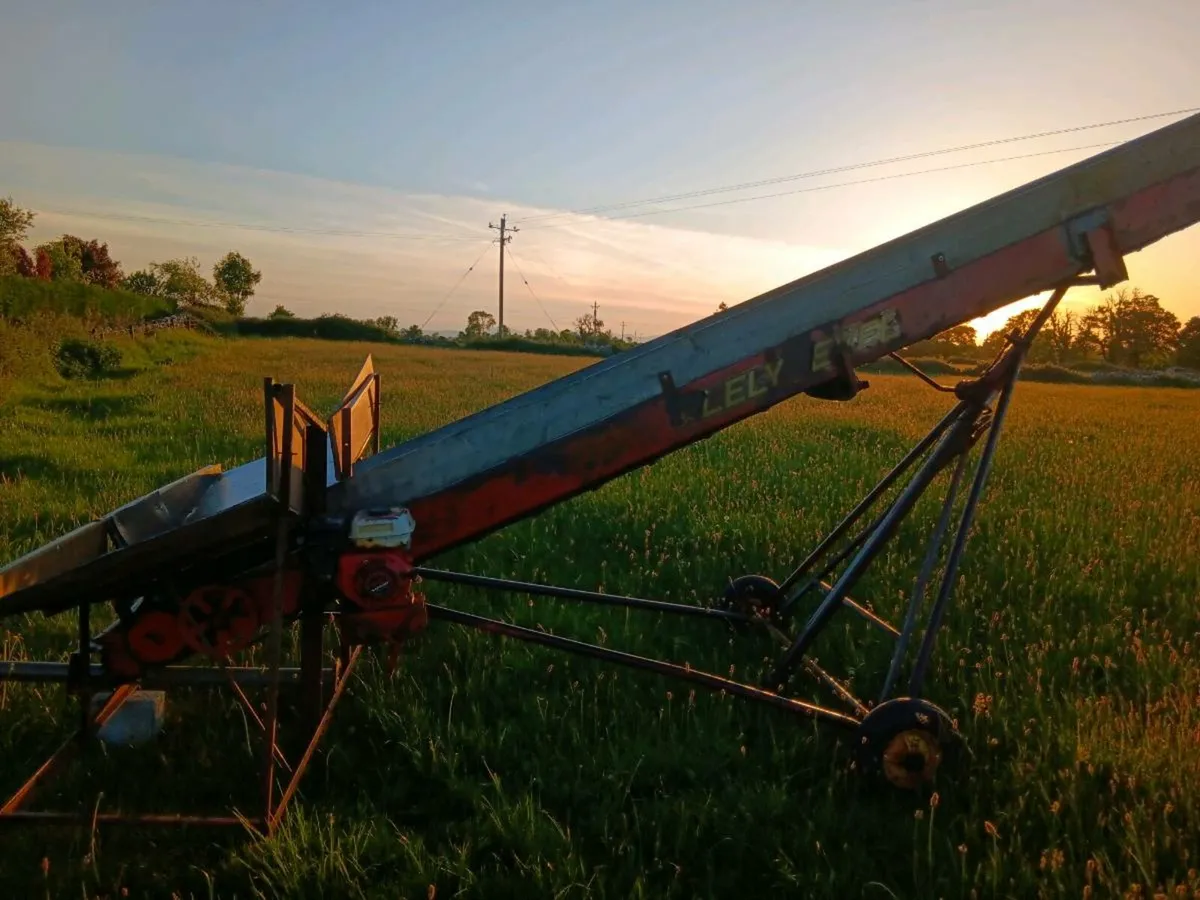 Turf conveyor - Image 3