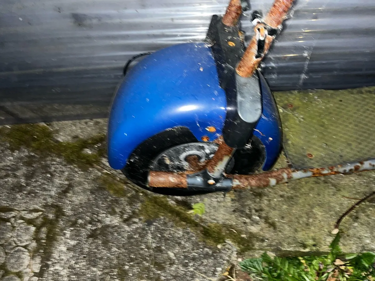 Electric bike - Image 1