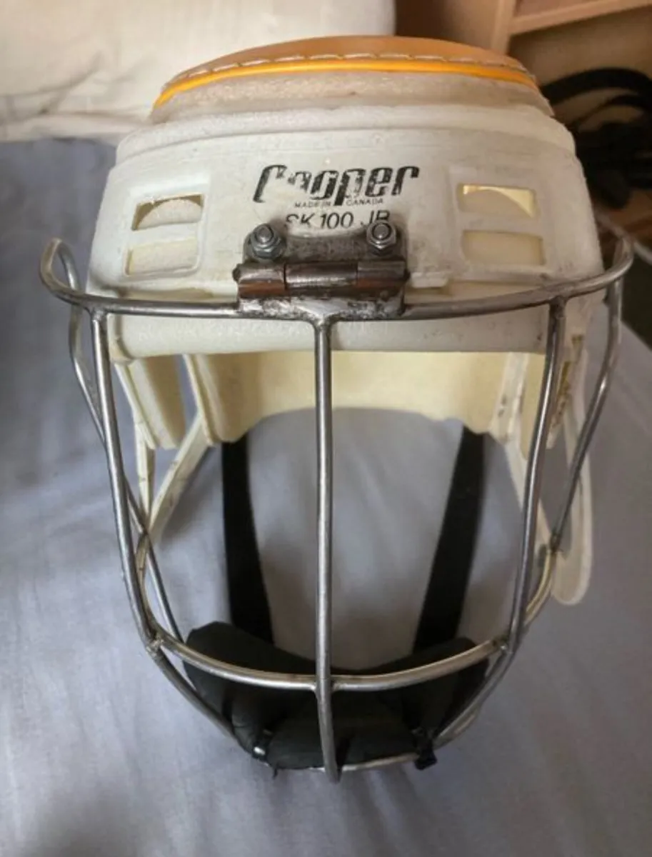 Wide hinge killkenny guard (WANTED) - Image 1