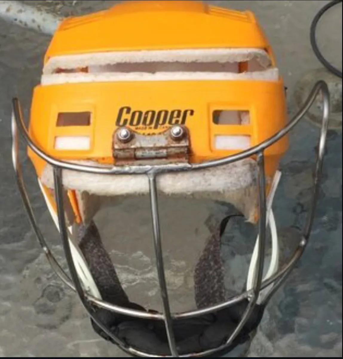 Wide hinge killkenny guard (WANTED) - Image 3