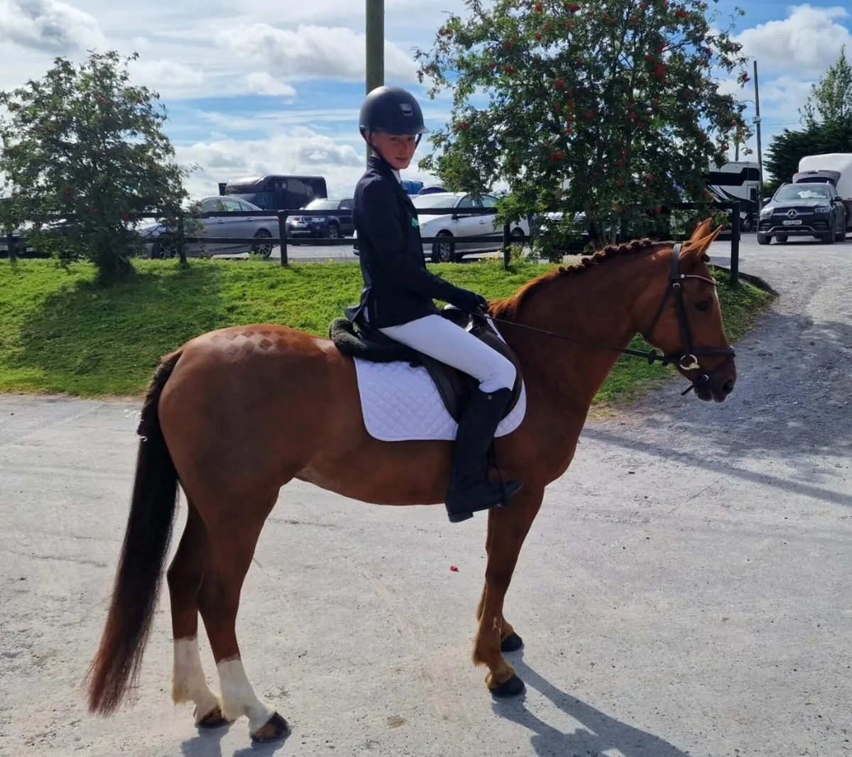 14.2 Pony - Image 4
