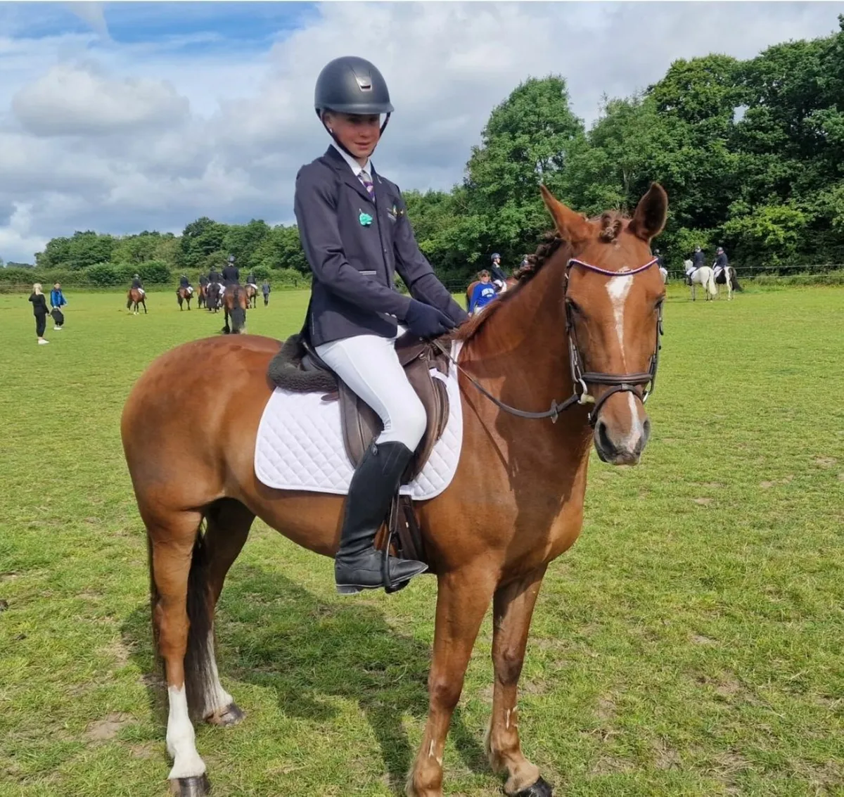 14.2 Pony - Image 1
