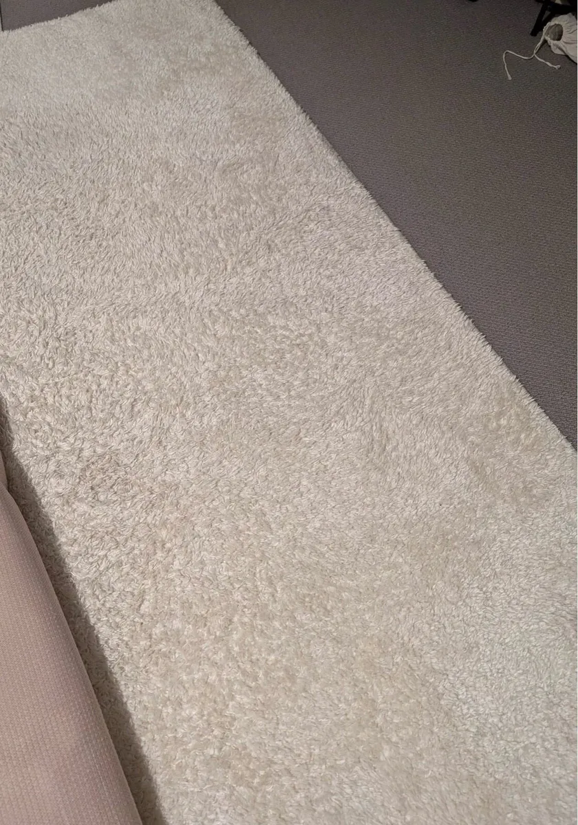 Rug - Image 1