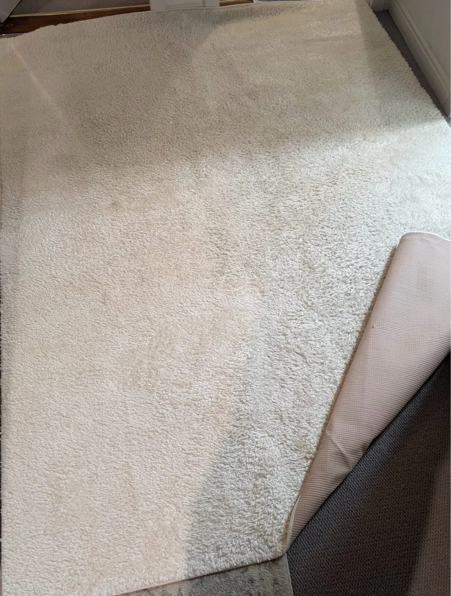 Rug - Image 2