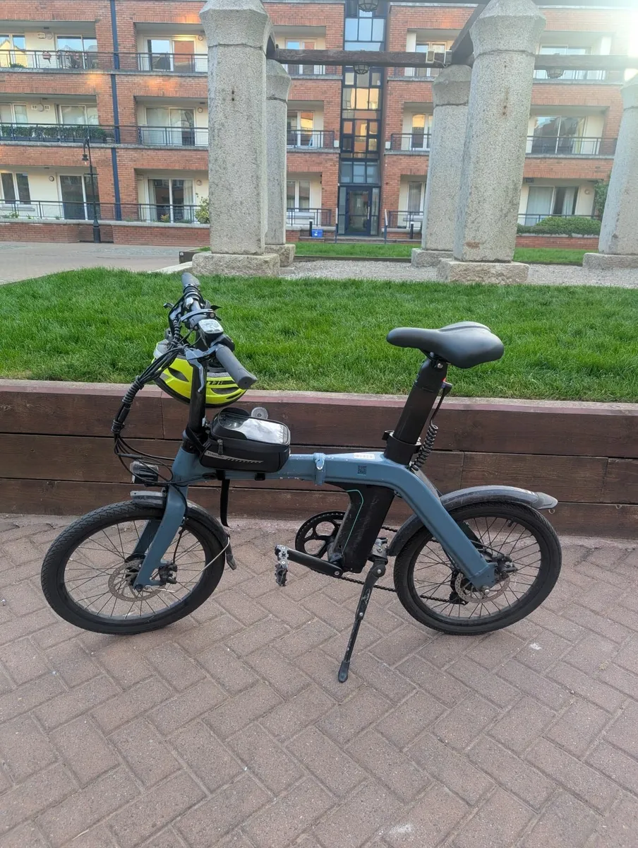 Fiido D11 Electric Bike