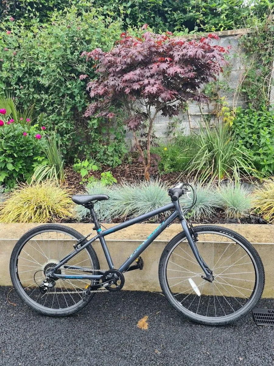 bike - Image 3