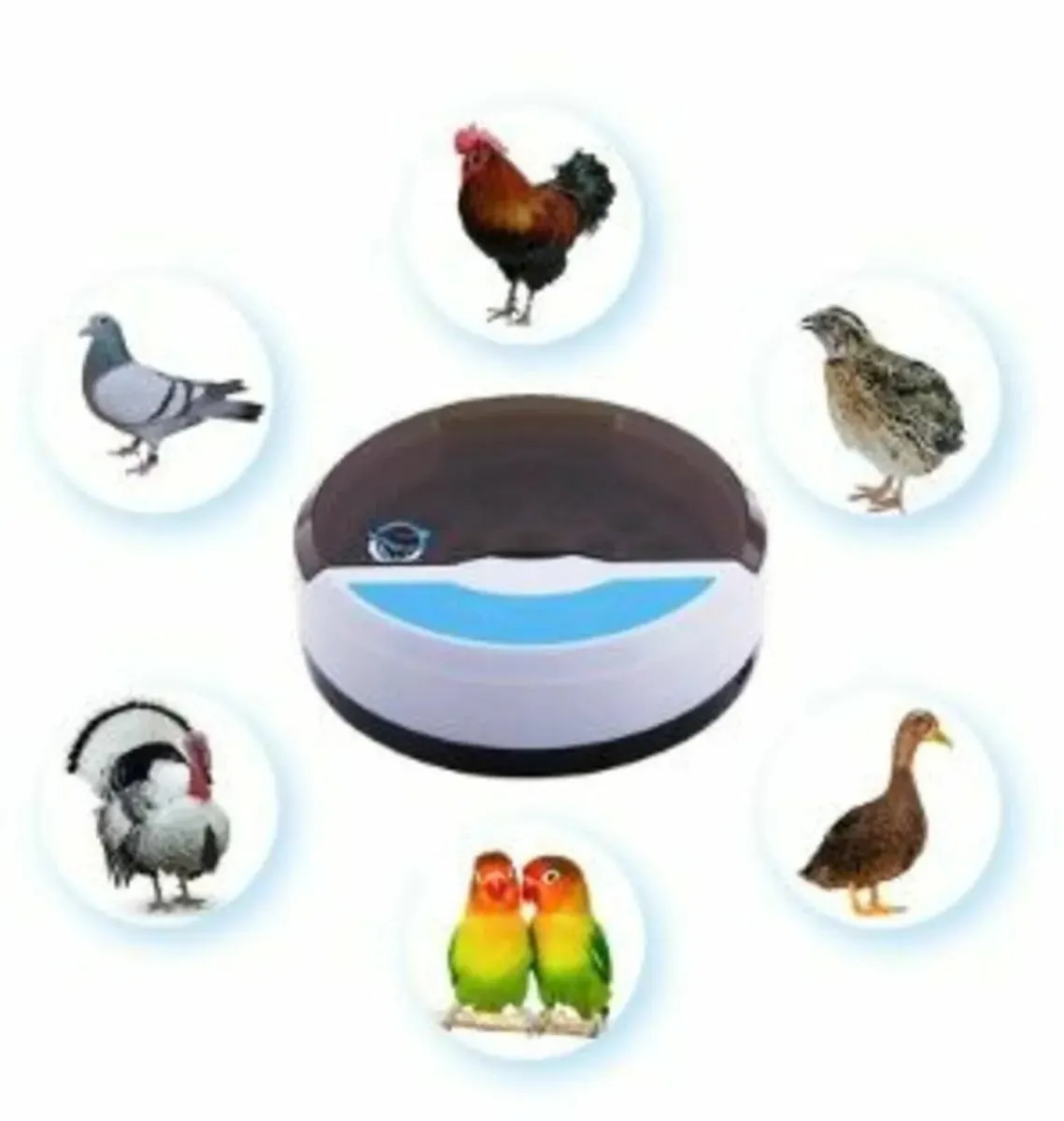 9 Eggs + 4 Bird Eggs Automatic Egg Incubator - Image 2