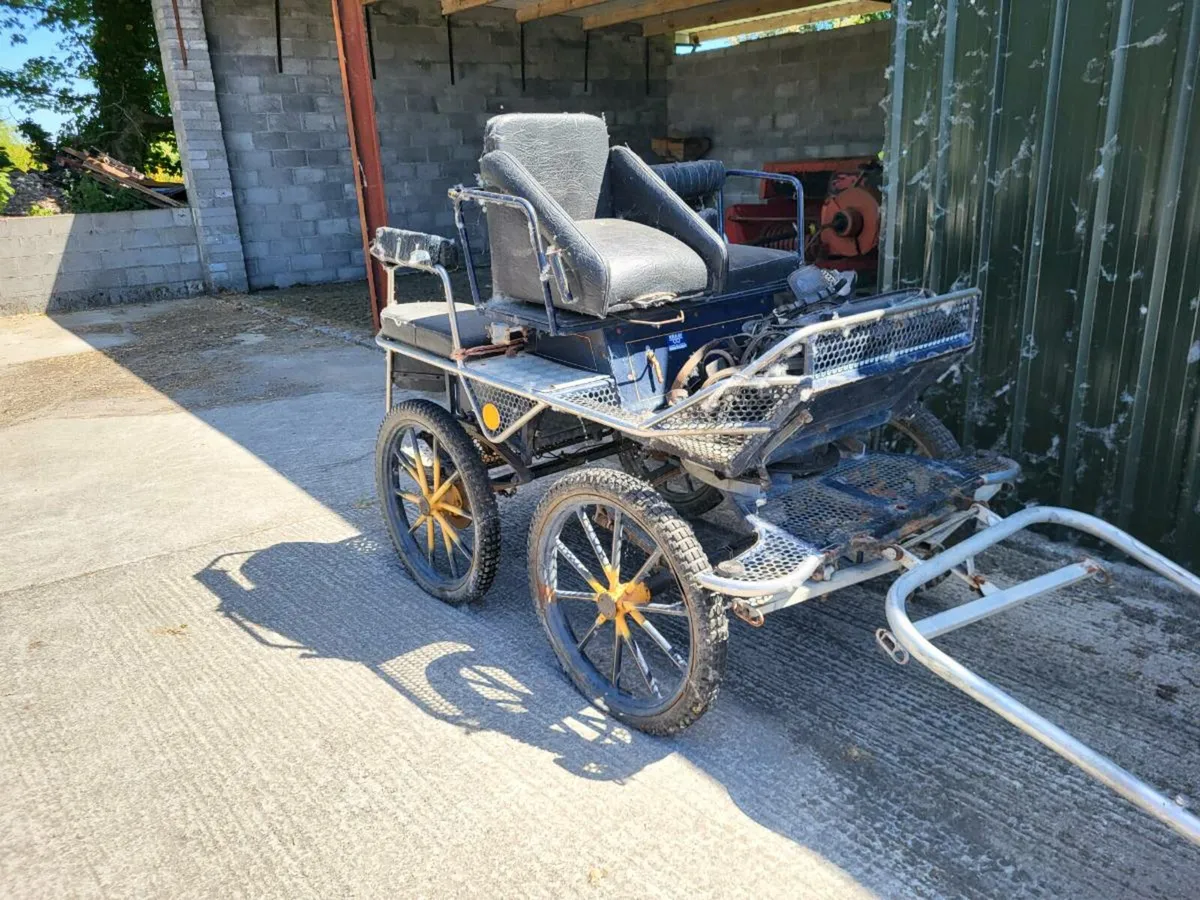 Carriage - Image 1