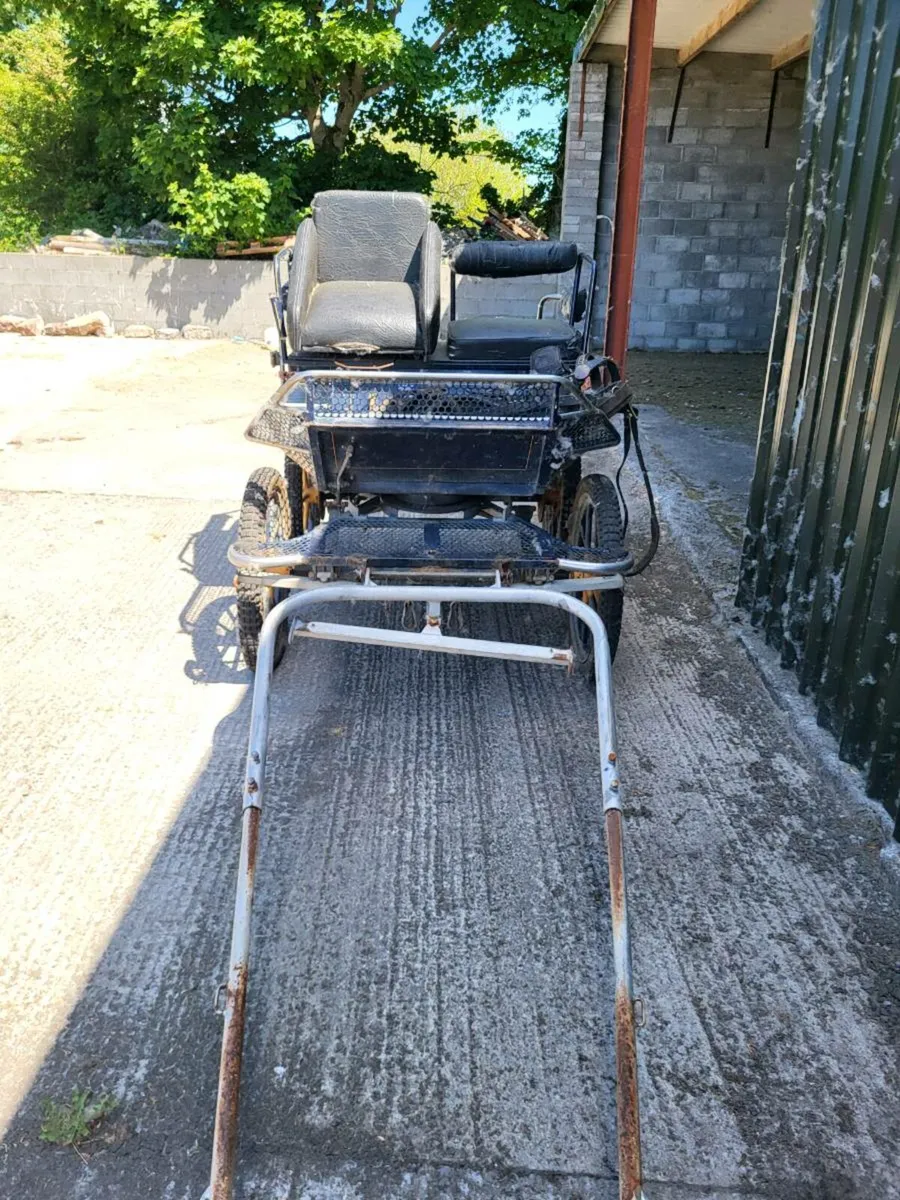 Carriage - Image 2
