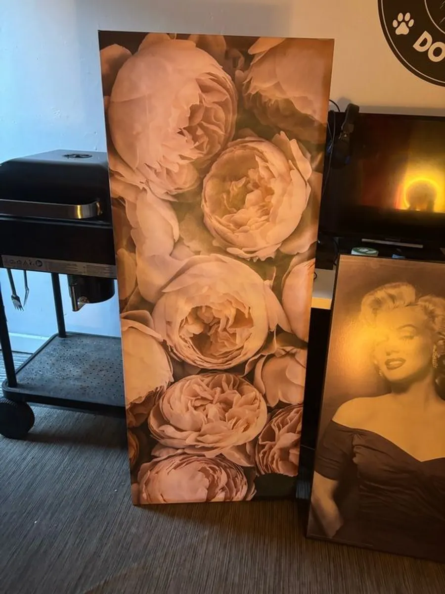 Canvas pink(ikea) picture and frame - Image 1