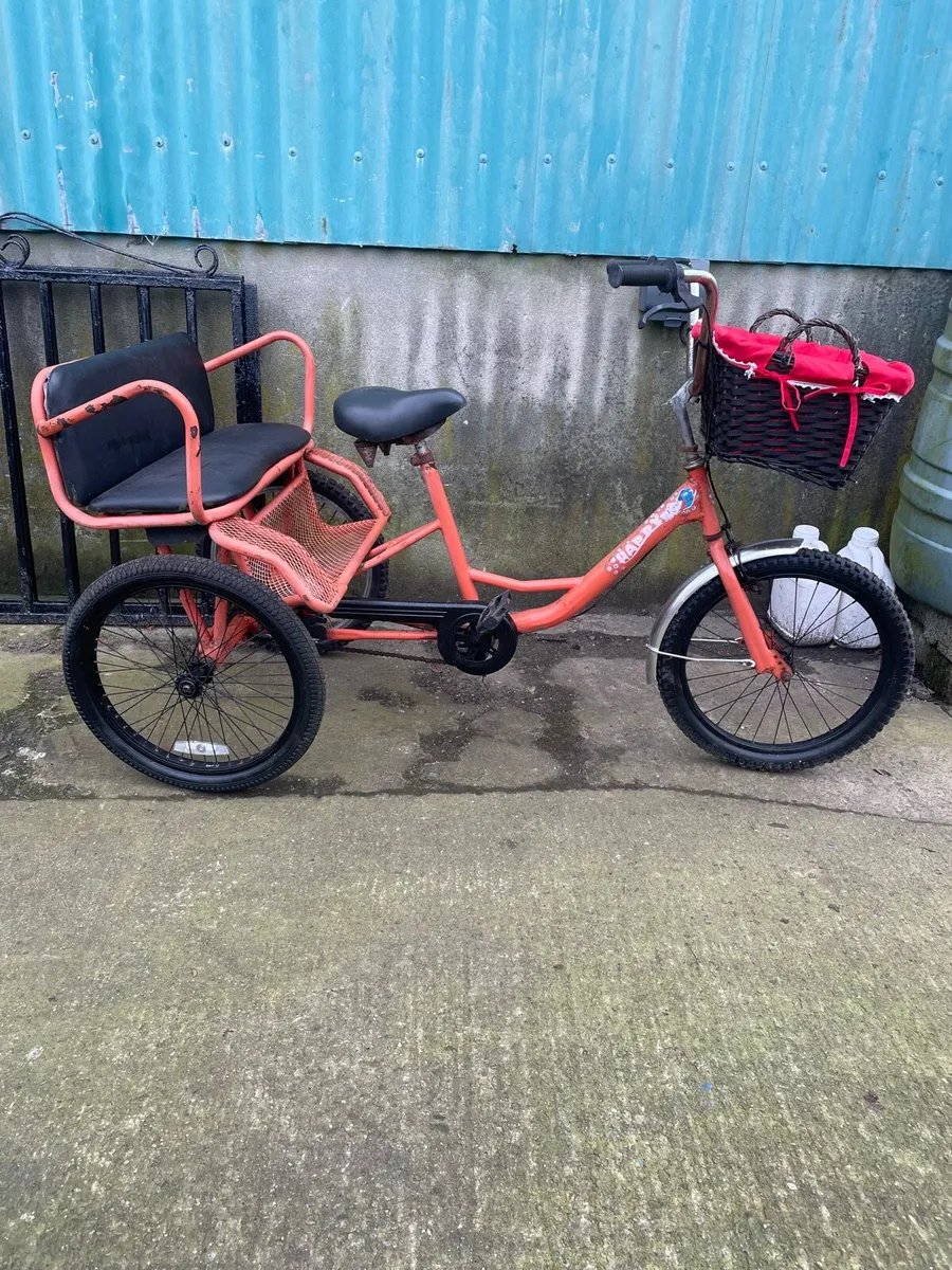 Large display Tricycle with bench back seat - Image 2