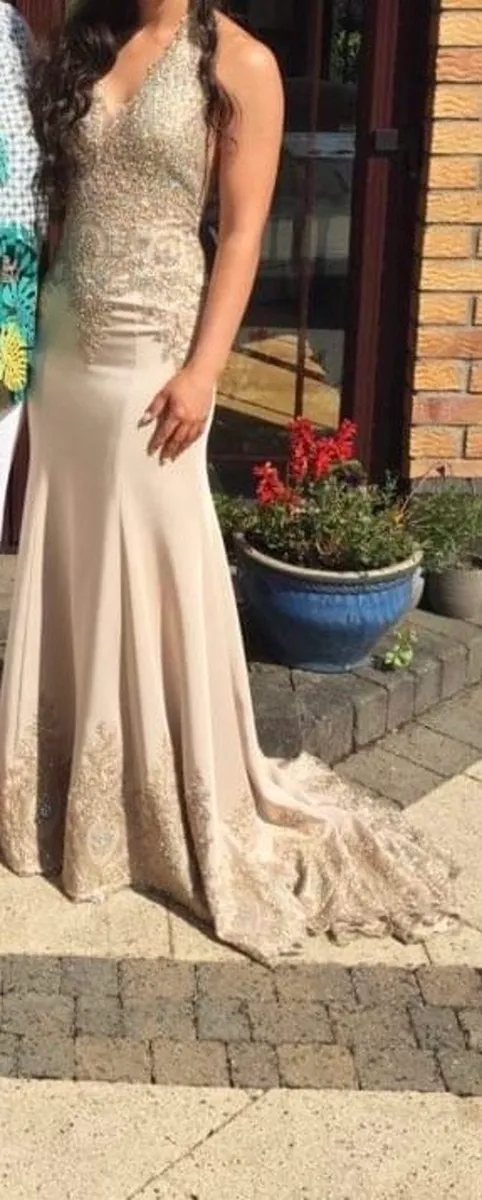 Debs Dress - Image 1