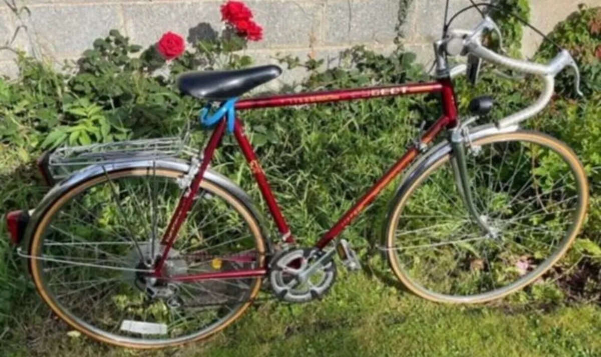 Peugeot racer