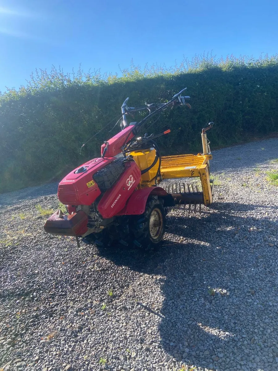 Blec stone rake - Image 3