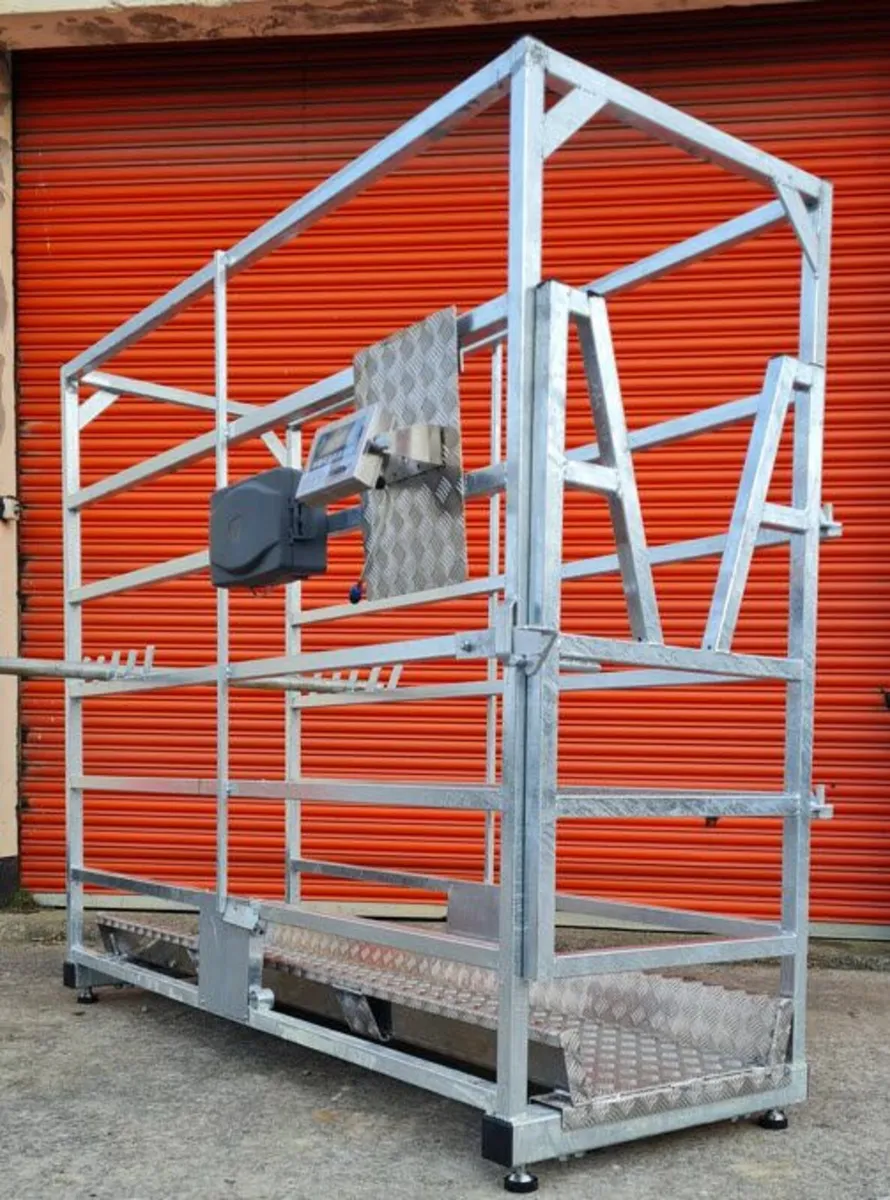 Weighing Crate-Mobile - Image 3