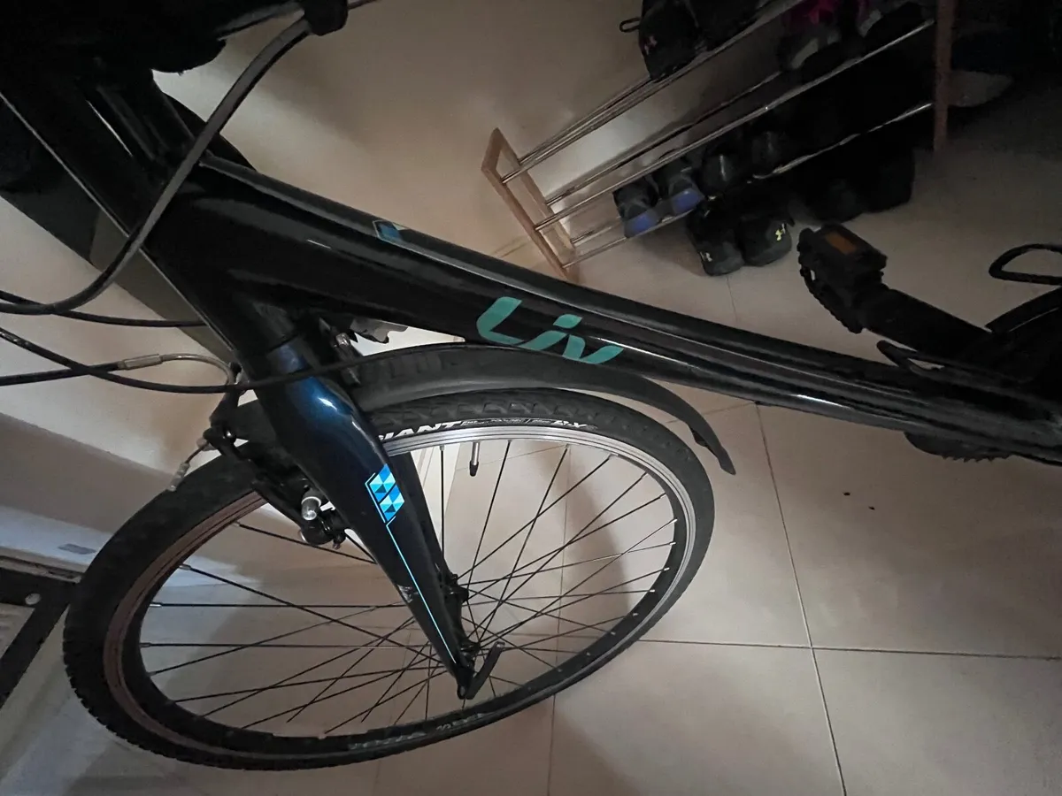 Bike - Image 2