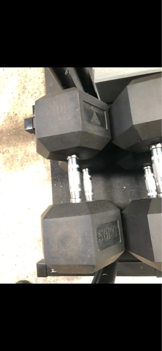 50kg Dumbbells - Image 1