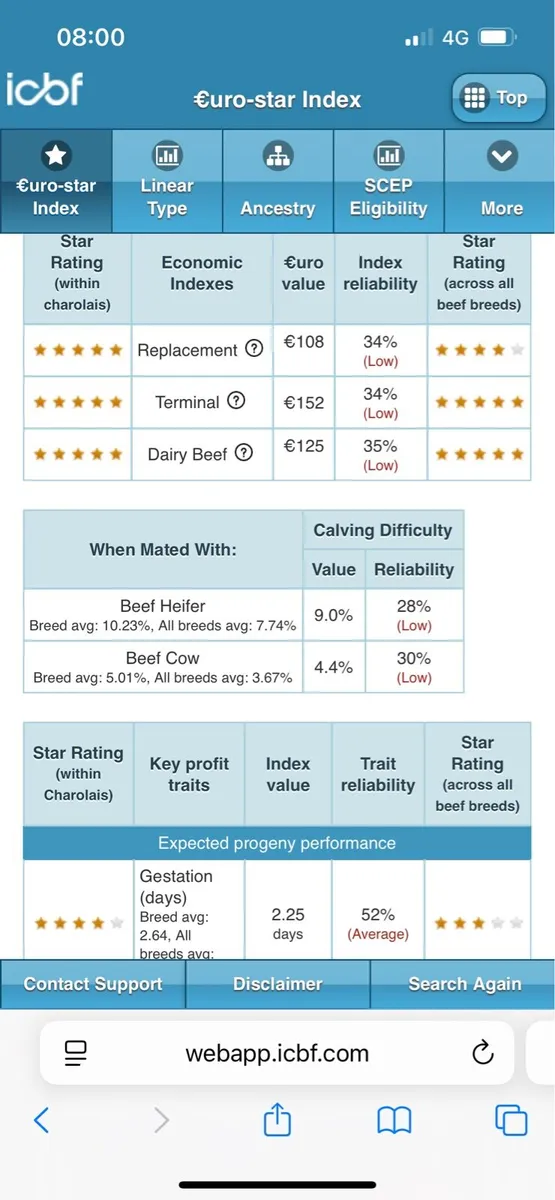 5 star Charolais bull - Image 3