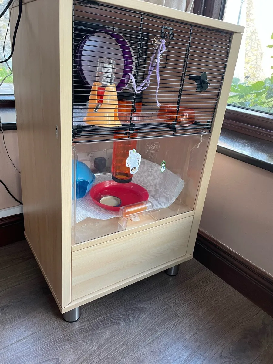 hamster house and other fun hamster bits - Image 1