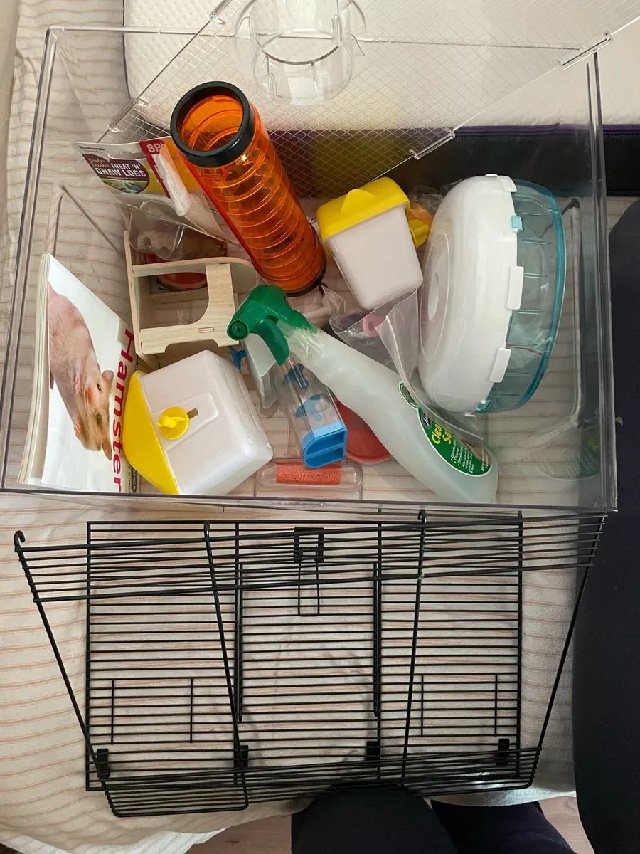 hamster house and other fun hamster bits - Image 4