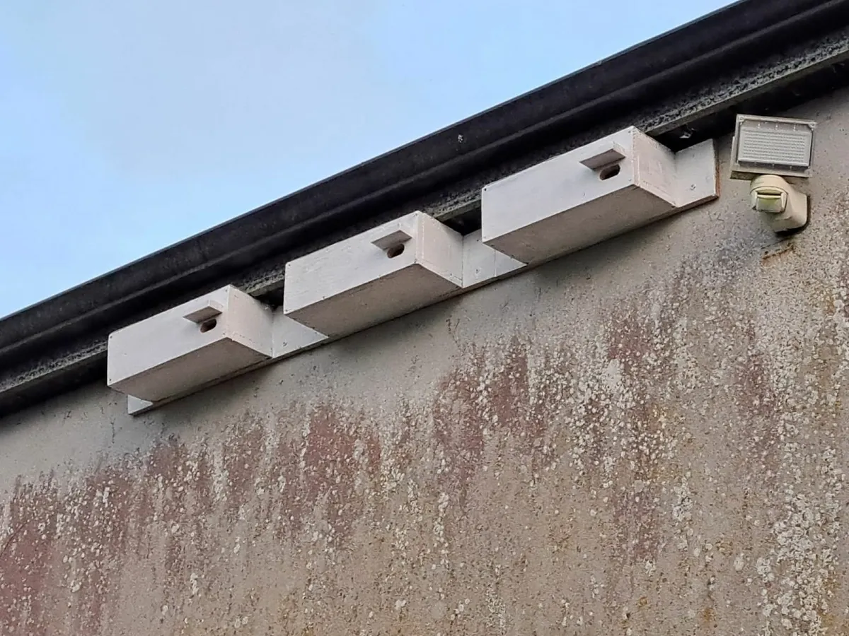 ACRES NPIS Bird Boxes - 💥Nationwide Delivery💥 - Image 4
