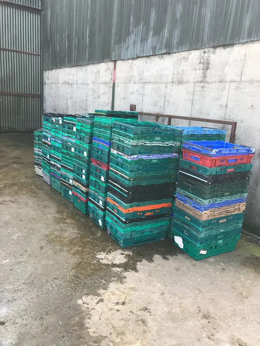 Plastic crates - Image 1