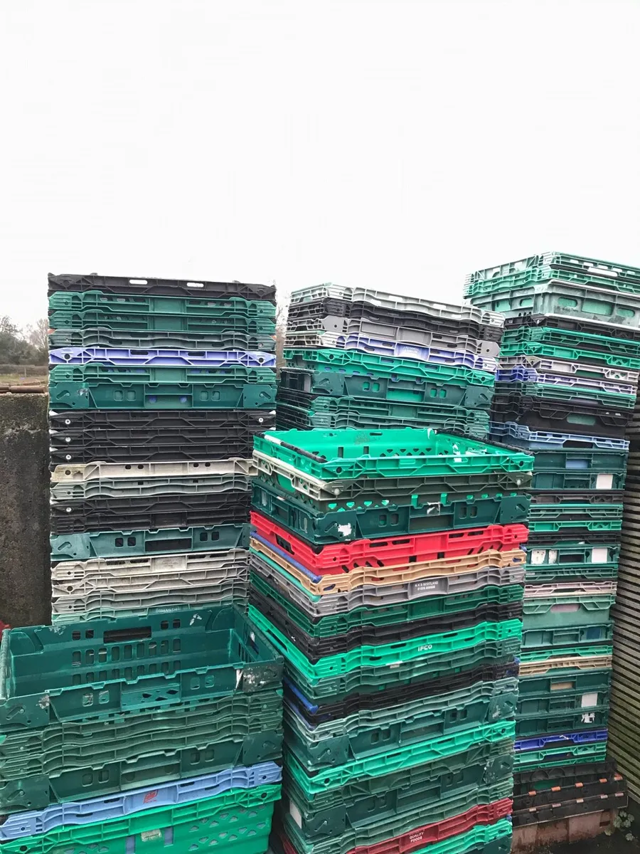 Plastic crates - Image 2