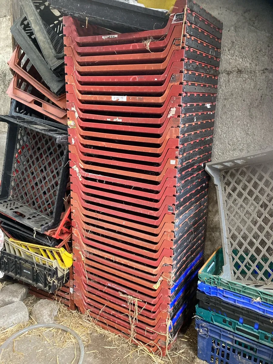 Plastic crates - Image 3