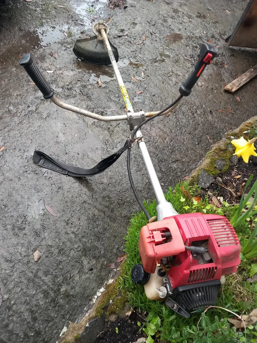 Strimmers - Image 4