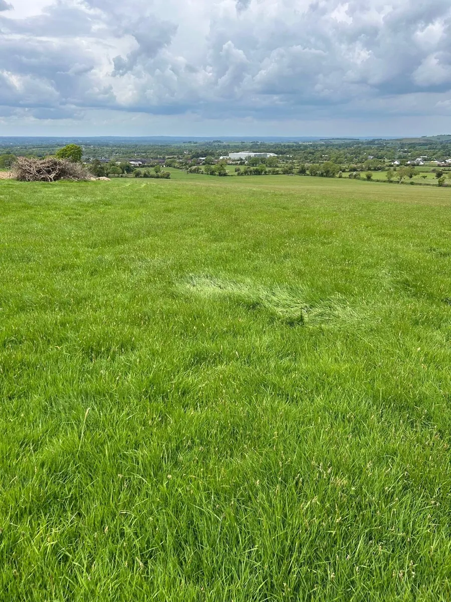 Grass for Silage First Cut - Image 1