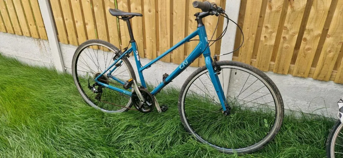 Giant liv 2 ( delivery ) ( serviced ) - Image 1