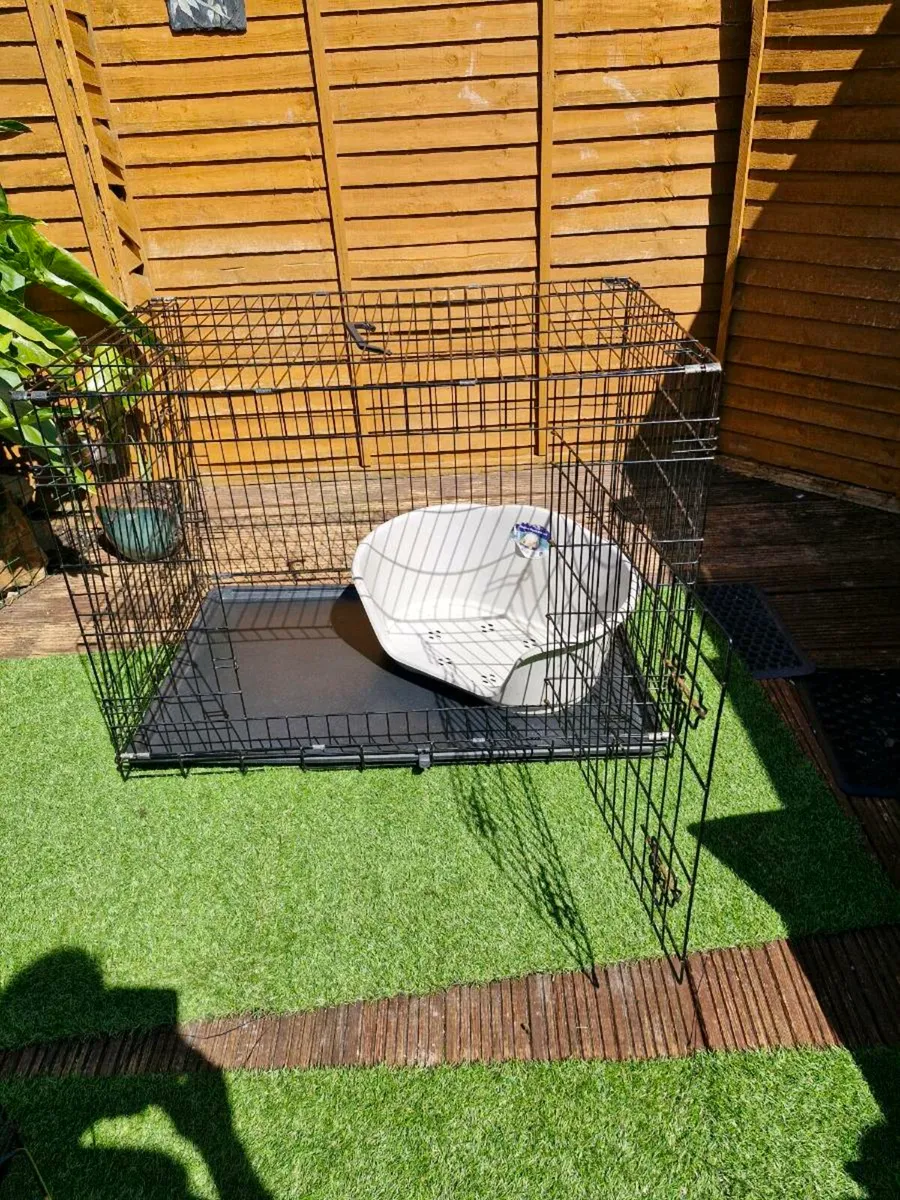 X large dog crate and bed